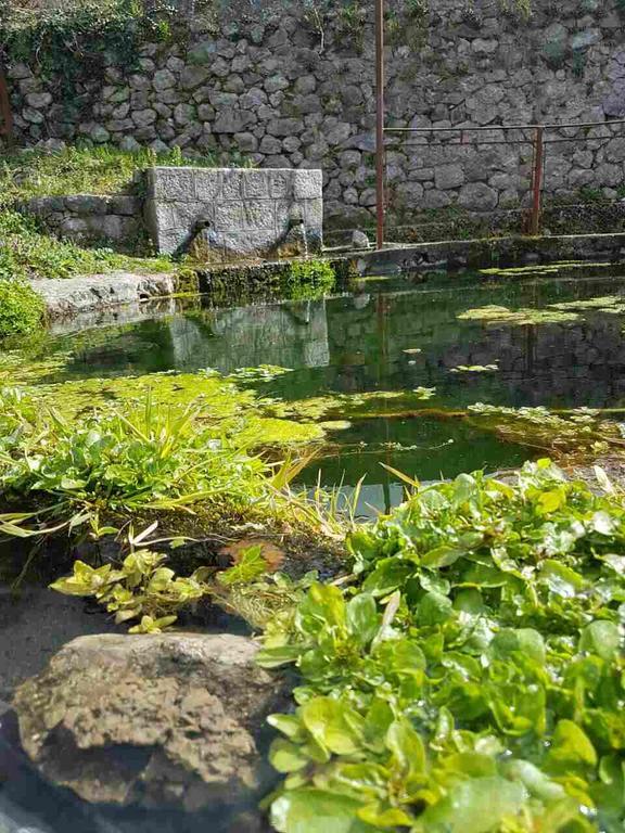 Apartman Nikocevic Dobra Voda Esterno foto