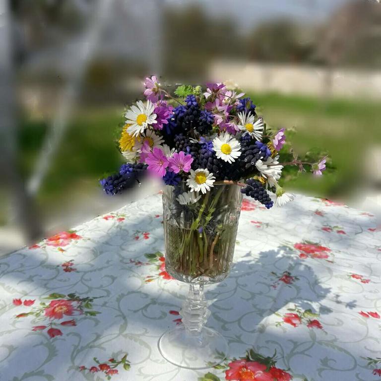 Apartman Nikocevic Dobra Voda Esterno foto