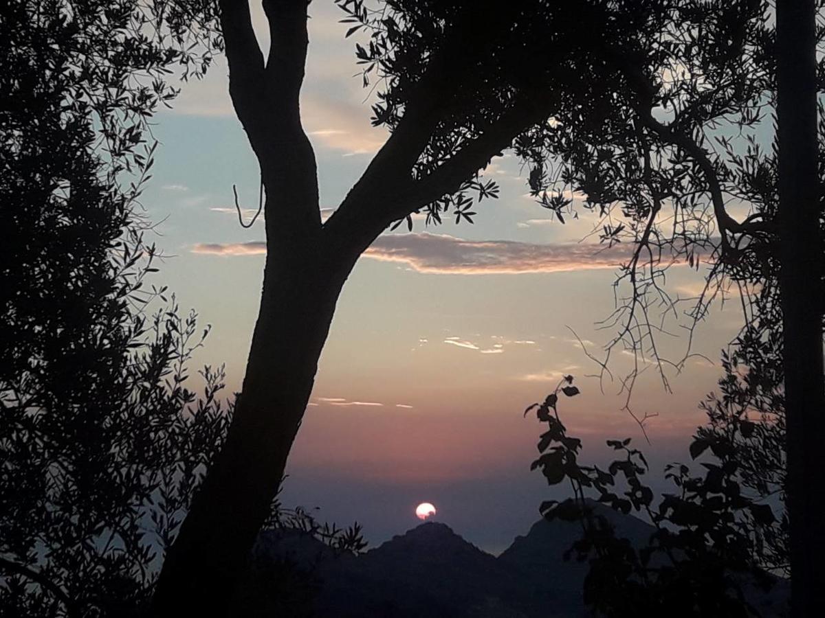 Apartman Nikocevic Dobra Voda Esterno foto