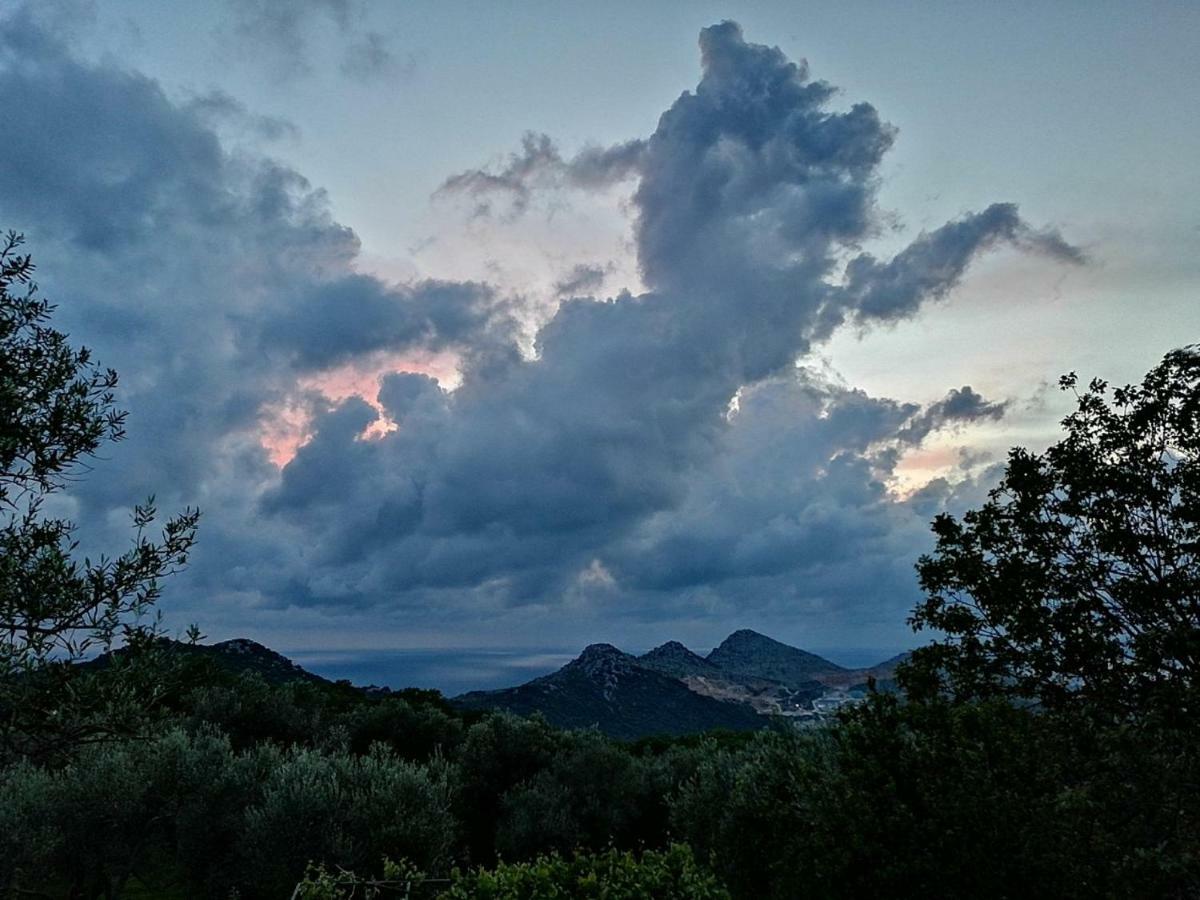 Apartman Nikocevic Dobra Voda Esterno foto