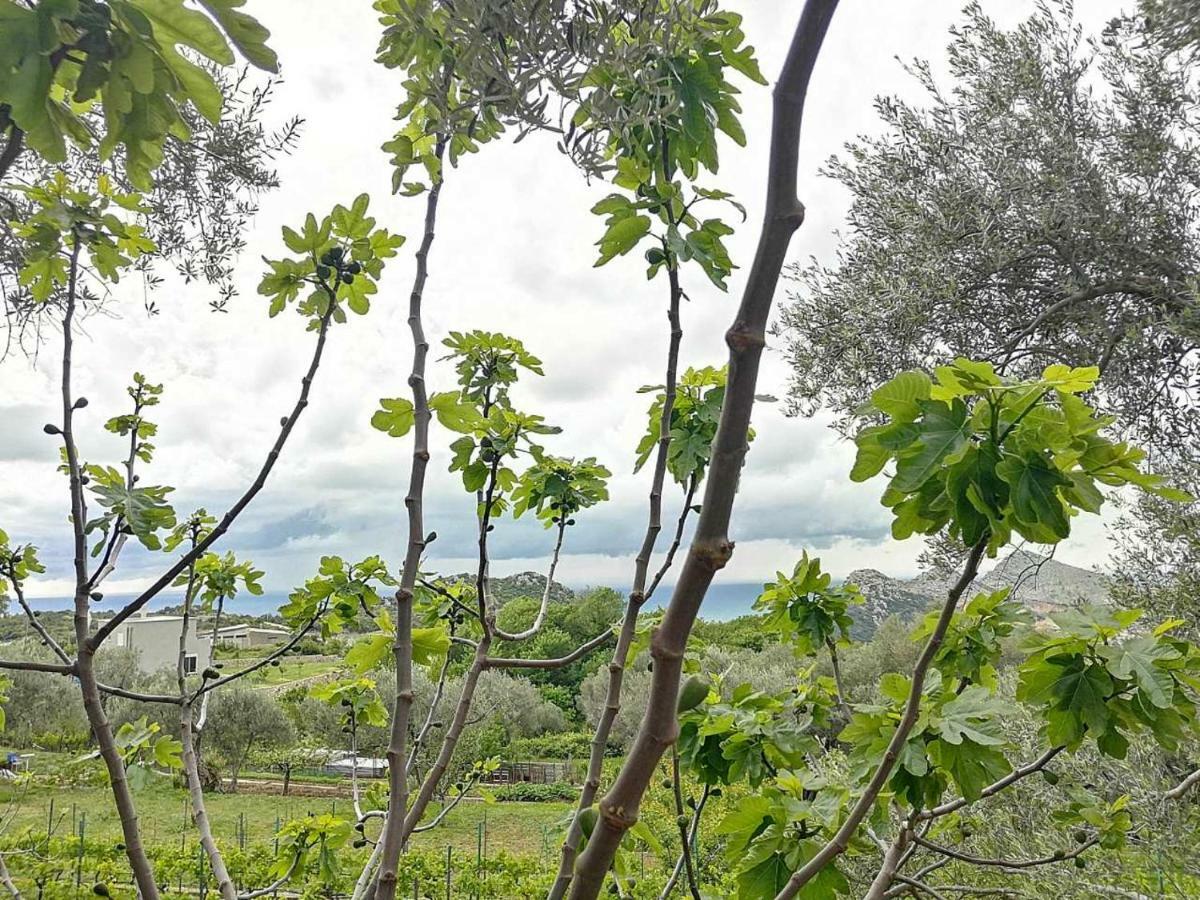 Apartman Nikocevic Dobra Voda Esterno foto