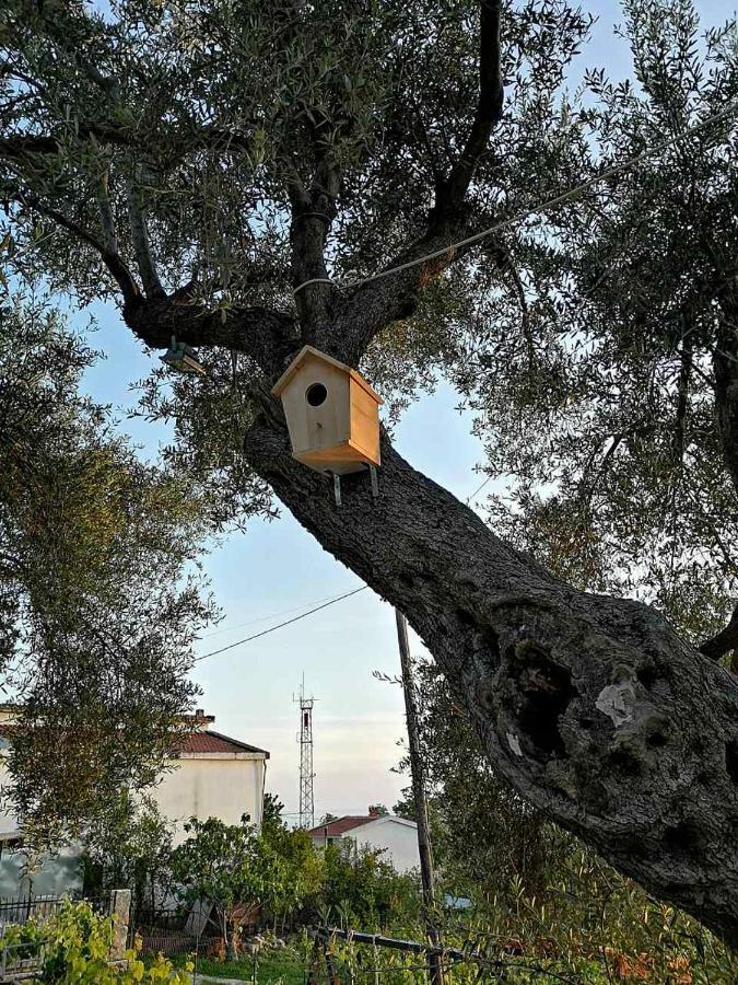 Apartman Nikocevic Dobra Voda Esterno foto